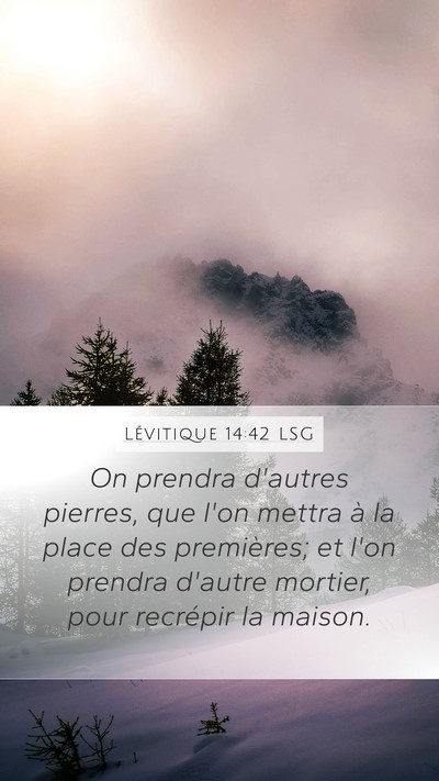 Lévitique 14:42 LSG Mobile Phone Wallpaper - On prendra d'autres pierres, que l'on mettra à - Mobile Bible Verse Wallpaper