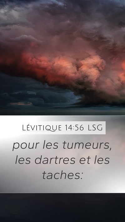 Lévitique 14:56 LSG Bible Verse Image