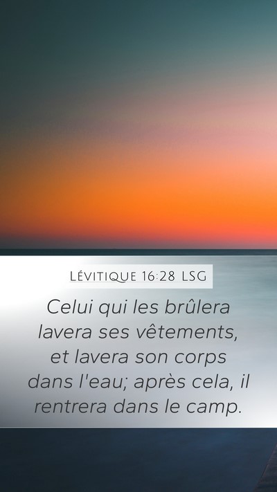 Lévitique 16:28 LSG Bible Verse Image