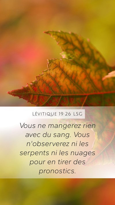 Lévitique 19:26 LSG Bible Verse Image