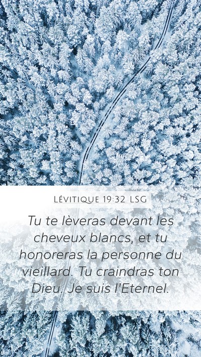 Lévitique 19:32 LSG Mobile Phone Wallpaper - Tu te lèveras devant les cheveux blancs, et tu - Mobile Bible Verse Wallpaper