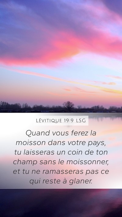 Lévitique 19:9 LSG Bible Verse Image