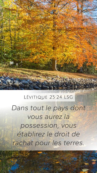 Lévitique 25:24 LSG Bible Verse Image