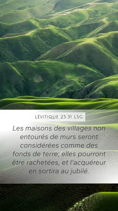 Lévitique 25:31 LSG Bible Verse Image