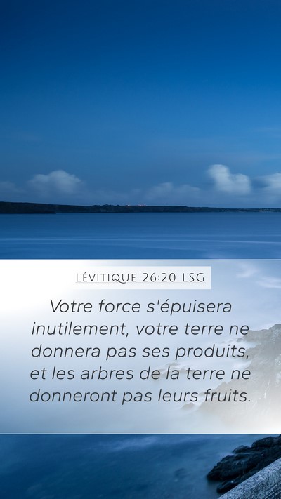 Lévitique 26:20 LSG Bible Verse Image