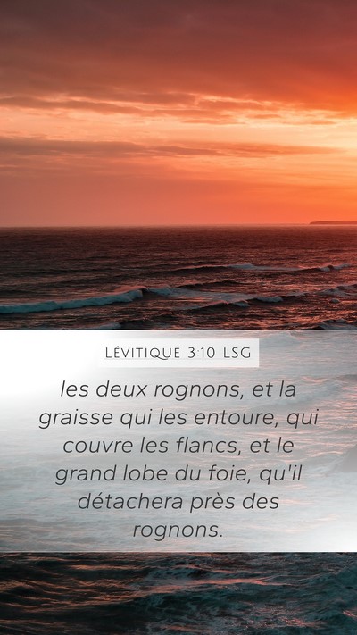 Lévitique 3:10 LSG Bible Verse Image