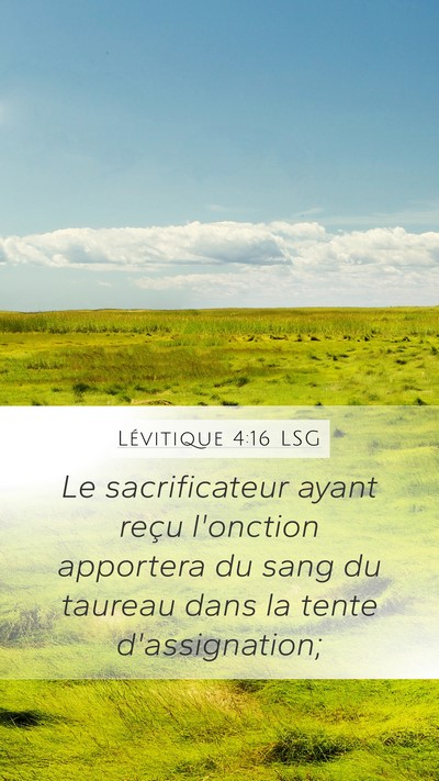 Lévitique 4:16 LSG Bible Verse Image