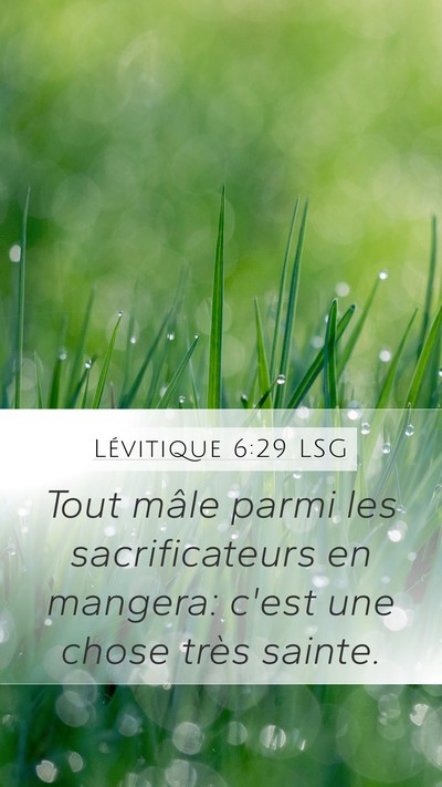 Lévitique 6:29 LSG Bible Verse Image