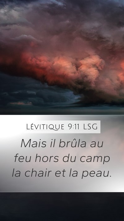 Lévitique 9:11 LSG Bible Verse Image
