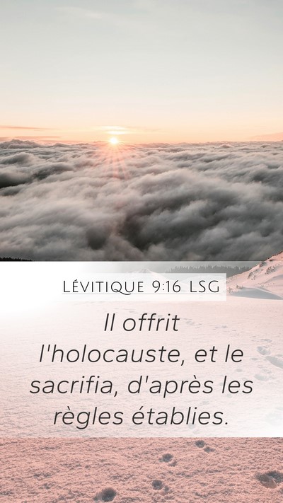 Lévitique 9:16 LSG Mobile Phone Wallpaper - Il offrit l'holocauste, et le sacrifia, d'après - Mobile Bible Verse Wallpaper