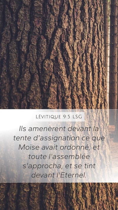 Lévitique 9:5 LSG Mobile Phone Wallpaper - Ils amenèrent devant la tente d'assignation ce - Mobile Bible Verse Wallpaper