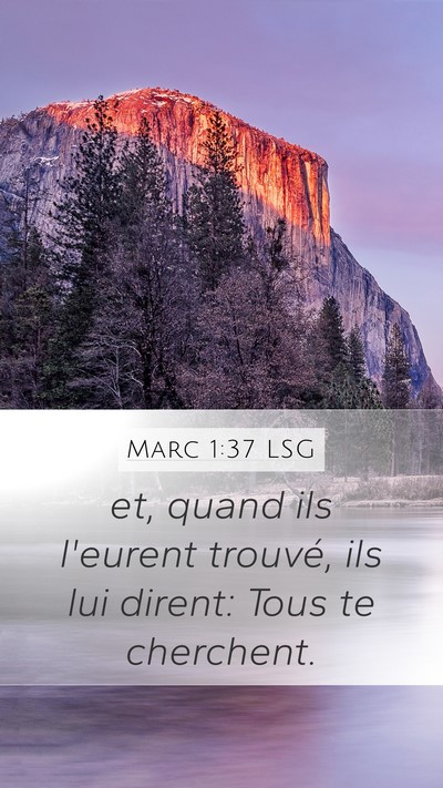 Marc 1:37 LSG Mobile Phone Wallpaper - et, quand ils l'eurent trouvé, ils lui dirent: - Mobile Bible Verse Wallpaper
