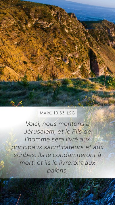 Marc 10:33 LSG Bible Verse Image