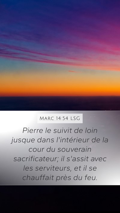 Marc 14:54 LSG Bible Verse Image