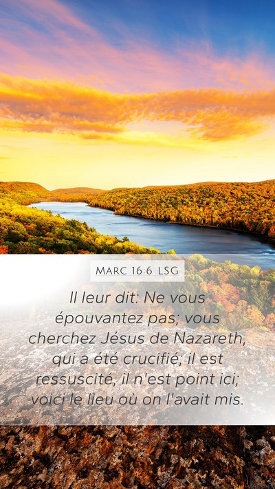 Marc 16:6 LSG Bible Verse Image