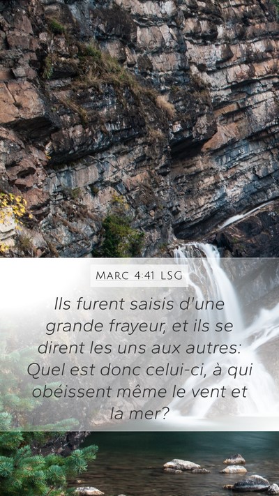 Marc 4:41 LSG Bible Verse Image