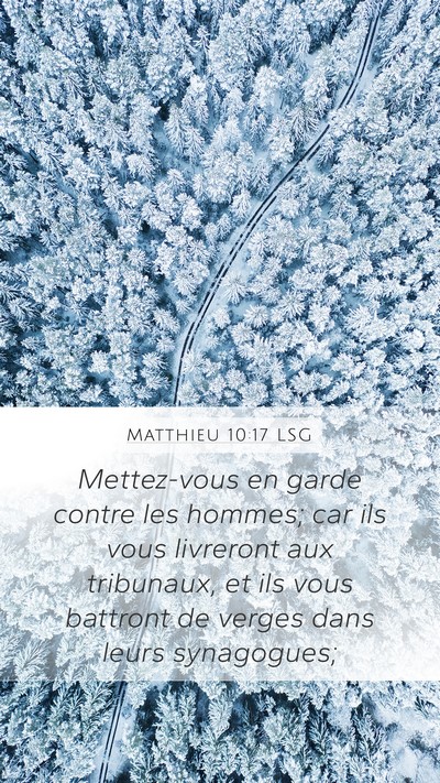 Matthieu 10:17 LSG Bible Verse Image