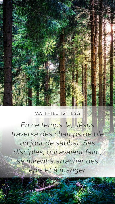 Matthieu 12:1 LSG Bible Verse Image