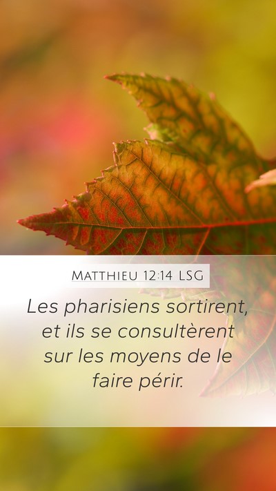 Matthieu 12:14 LSG Bible Verse Image