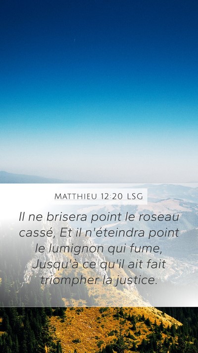 Matthieu 12:20 LSG Bible Verse Image