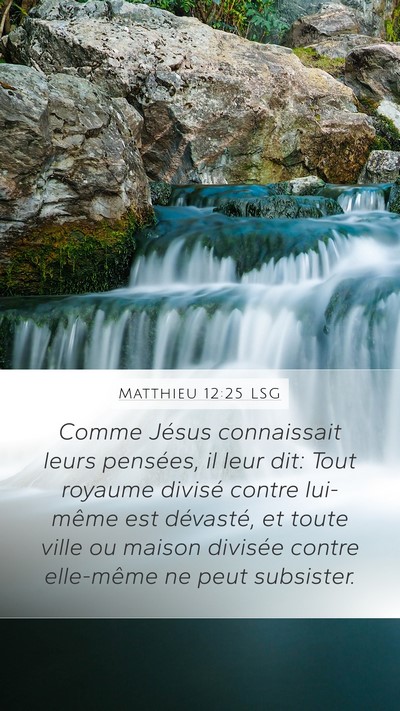 Matthieu 12:25 LSG Bible Verse Image