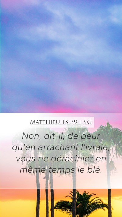 Matthieu 13:29 LSG Mobile Phone Wallpaper - Non, dit-il, de peur qu'en arrachant l'ivraie, - Mobile Bible Verse Wallpaper