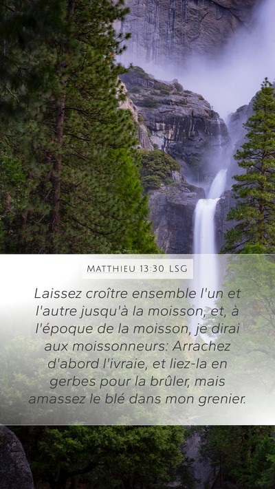 Matthieu 13:30 LSG Bible Verse Image