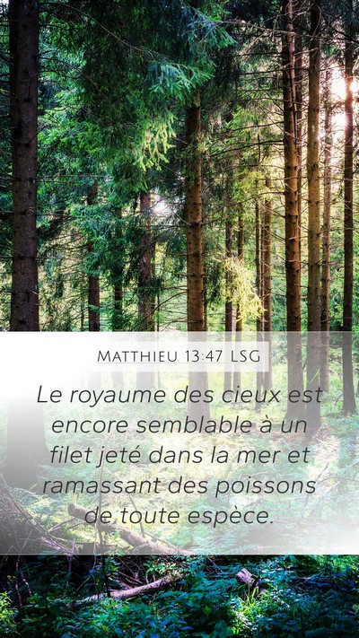 Matthieu 13:47 LSG Bible Verse Image