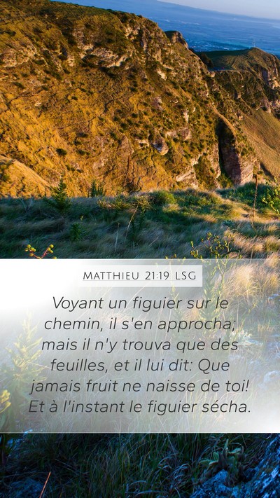 Matthieu 21:19 LSG Bible Verse Image