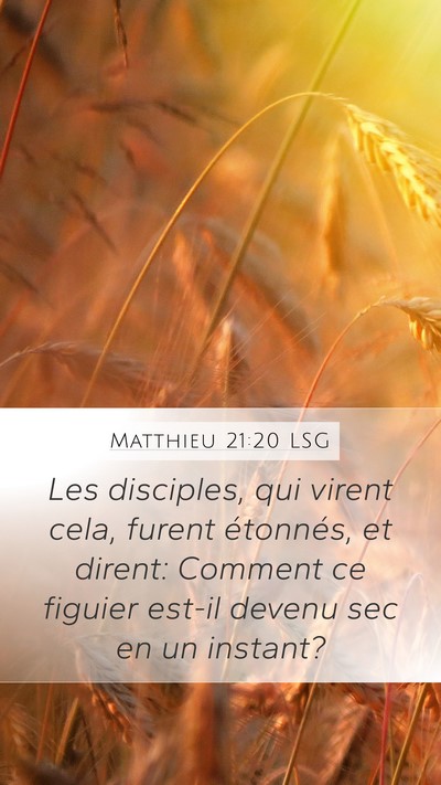 Matthieu 21:20 LSG Bible Verse Image