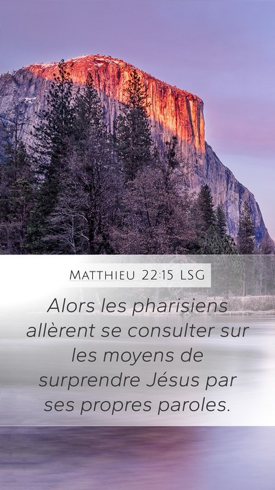 Matthieu 22:15 LSG Bible Verse Image