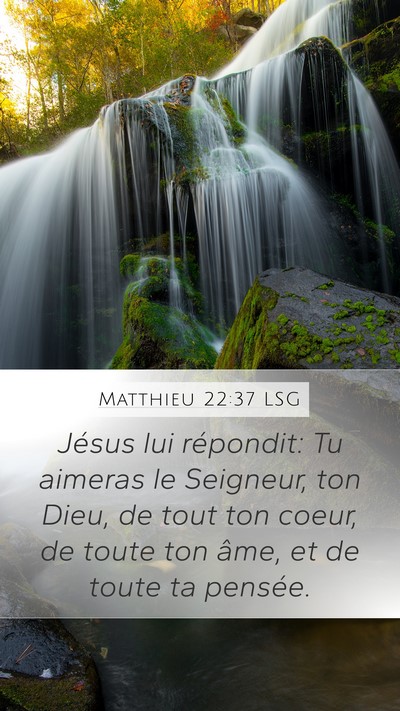 Matthieu 22:37 LSG Bible Verse Image