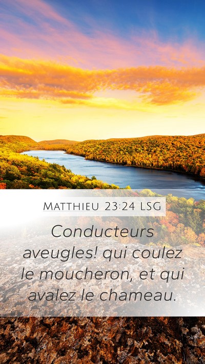 Matthieu 23:24 LSG Bible Verse Image