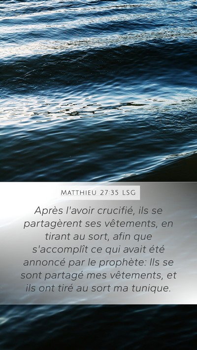 Matthieu 27:35 LSG Bible Verse Image