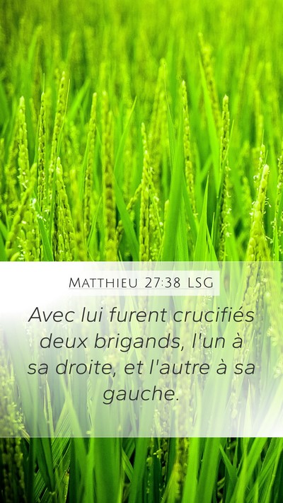Matthieu 27:38 LSG Bible Verse Image