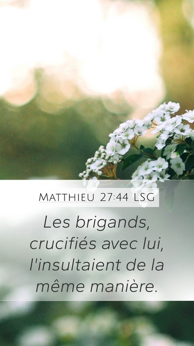 Matthieu 27:44 LSG Bible Verse Image