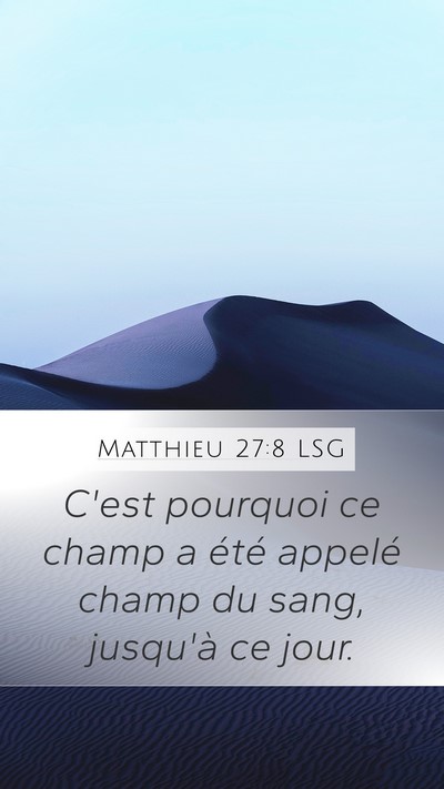 Matthieu 27:8 LSG Bible Verse Image