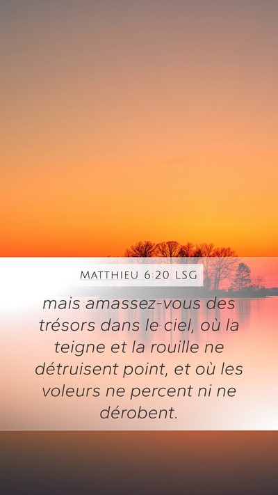 Matthieu 6:20 LSG Bible Verse Image