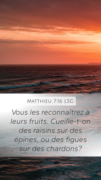 Matthieu 7:16 LSG Bible Verse Image