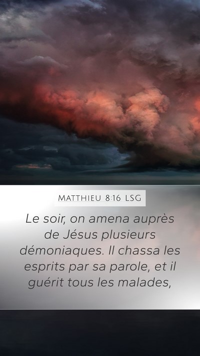 Matthieu 8:16 LSG Bible Verse Image
