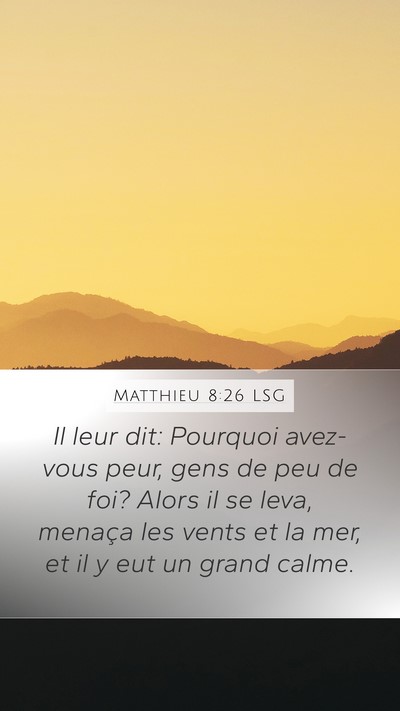 Matthieu 8:26 LSG Bible Verse Image