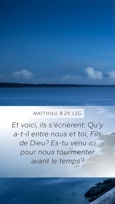 Matthieu 8:29 LSG Bible Verse Image