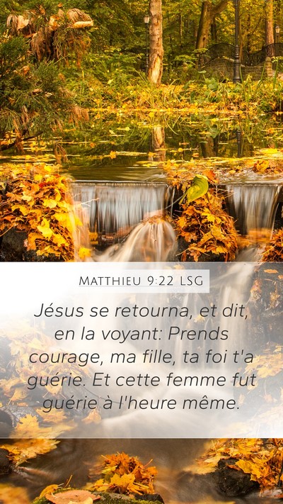 Matthieu 9:22 LSG Bible Verse Image