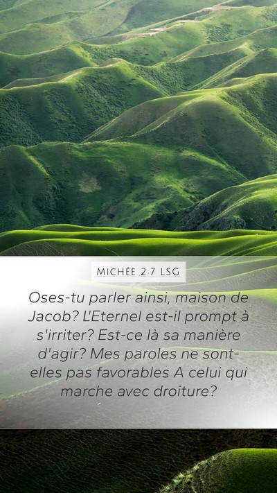 Michée 2:7 LSG Bible Verse Image