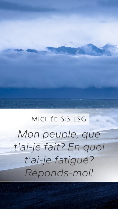 Michée 6:3 LSG Bible Verse Image