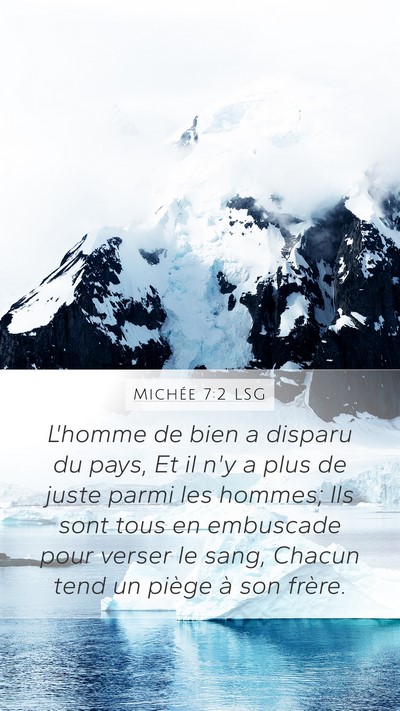 Michée 7:2 LSG Bible Verse Image