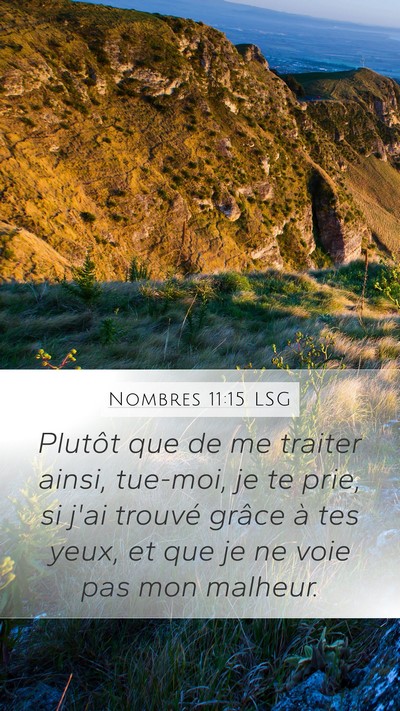 Nombres 11:15 LSG Bible Verse Image