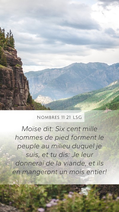 Nombres 11:21 LSG Bible Verse Image