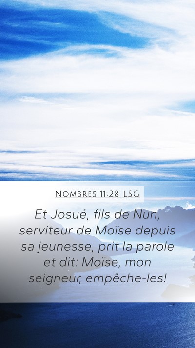 Nombres 11:28 LSG Bible Verse Image