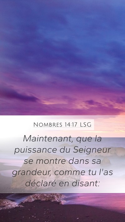 Nombres 14:17 LSG Mobile Phone Wallpaper - Maintenant, que la puissance du Seigneur se - Mobile Bible Verse Wallpaper